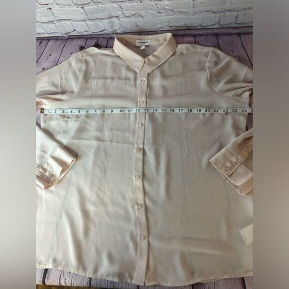 NWT Express Ballet Pink Portofino Sheer Balletcore Minimalist Button Up Shirt XL - Picture 4 of 7